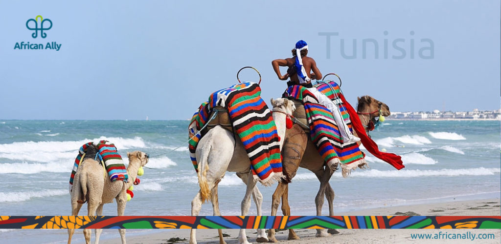 Market #5: Tunisia